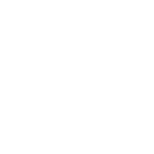 Parking Tickets icon